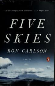 Tapa de Five skies