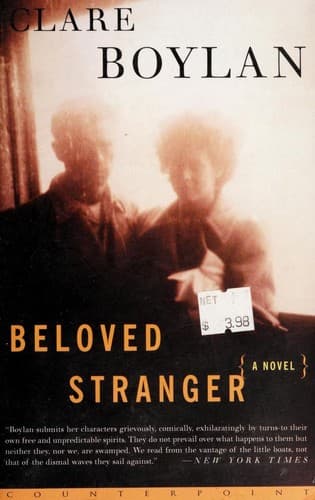Tapa de Beloved stranger