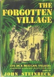 Tapa de The Forgotten Village