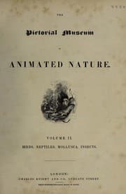 Tapa de The pictorial museum of animated nature.