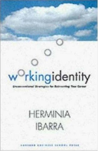 Tapa de Working Identity