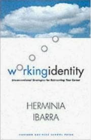 Tapa de Working Identity