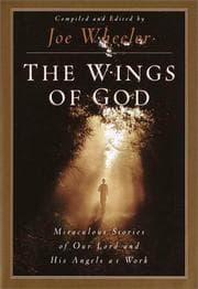 Tapa de The Wings of God