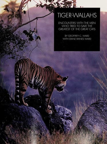 Tapa de Tiger Wallahs