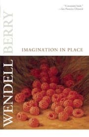 Tapa de Imagination in Place