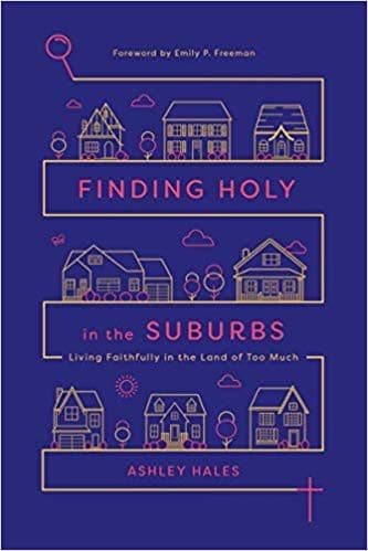 Tapa de Finding Holy in the Suburbs