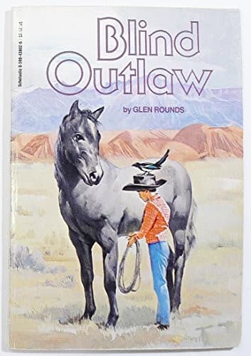 Tapa de Blind Outlaw