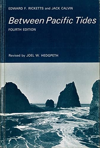 Tapa de Between Pacific Tides