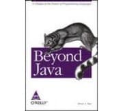 Tapa de Beyond Java