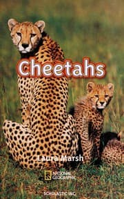 Tapa de Cheetahs