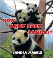 Tapa de How Many Baby Pandas? / Scholastic Book Fair Edition