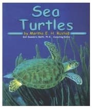 Tapa de Sea Turtles [Scholastic] (Ocean Life)