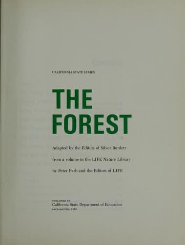 Tapa de The forest
