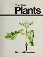 Tapa de The life of plants