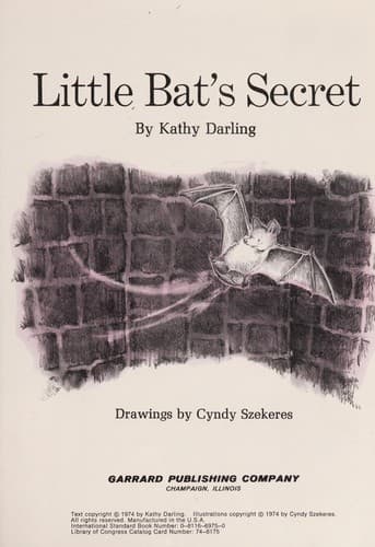 Tapa de Little Bat's secret