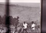 Tapa de The book of Kenya