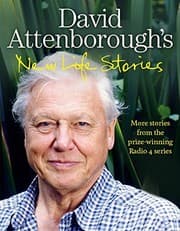 Tapa de Life Stories 2