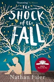 Tapa de The Shock of the Fall