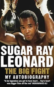 Tapa de Big Fight: My Story