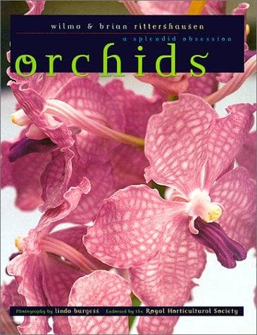 Tapa de Orchids