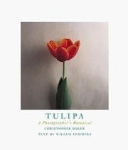 Tapa de Tulipa