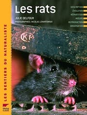 Tapa de Les rats (French Edition)