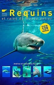 Tapa de Requins et raies du monde entier