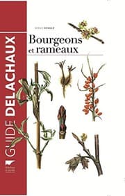 Tapa de Bourgeons et rameaux