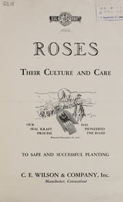 Tapa de Roses, their culture and care