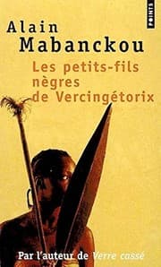 Tapa de Les petits-fils negres de Vercingetorix