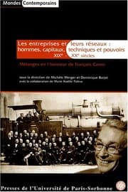 Tapa de Les entreprises et leurs réseaux: Hommes, capitaux, techniques et pouvoirs, XIXe-XXe siècles: mélanges en l'honneur de François Caron