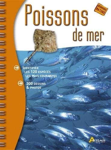 Tapa de poissons de mer