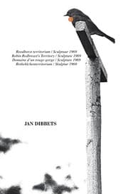Tapa de Jan Dibbets: Robin Redbreast's Territory Sculpture 1969
