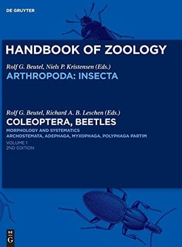 Tapa de Coleoptera, Beetles. Morphology and Systematics