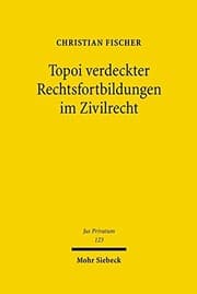 Tapa de Topoi Verdeckter Rechtsfortbildungen Im Zivilrecht (Jus Privatum) (German Edition)