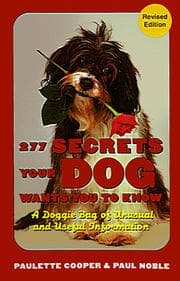 Tapa de 277 secrets your dog wants you to know