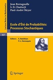 Tapa de École d'été de probabilités: processus stochastiques