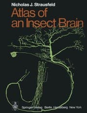 Tapa de Atlas of an Insect Brain