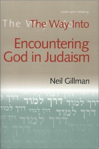 Tapa de The Way into Encountering God in Judaism (Way Into...)
