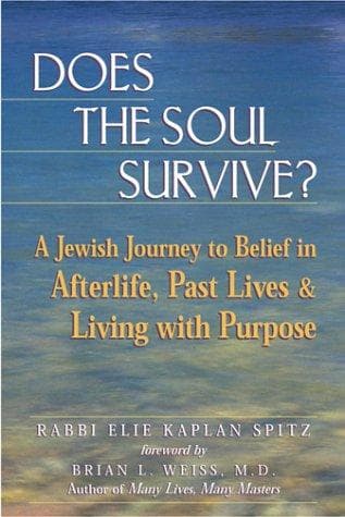 Tapa de Does the Soul Survive