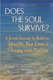 Tapa de Does the Soul Survive