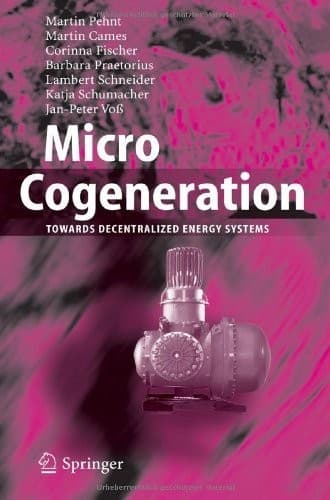 Tapa de Micro Cogeneration: Towards Decentralized Energy Systems