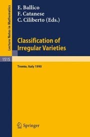 Tapa de Classification of Irregular Varieties: Minimal Models and Abelian Varieties. Proceedings of a Conference held in Trento, Italy, 17-21 December, 1990 (Lecture Notes in Mathematics)