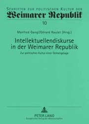 Tapa de Intellektuellendiskurse in der Weimarer Republik: Zur politischen Kultur einer Gemengelage (Schriften zur politischen Kultur der Weimarer Republik) (German Edition)