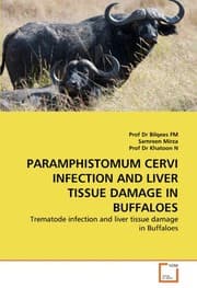 Tapa de PARAMPHISTOMUM CERVI INFECTION AND LIVER TISSUE DAMAGE IN BUFFALOES: Trematode infection and liver tissue damage in Buffaloes