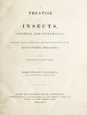 Tapa de A treatise on insects, general and systematic