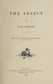 Tapa de L' insecte