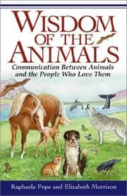 Tapa de Wisdom of the animals