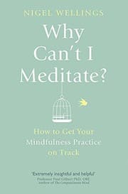 Tapa de Why Can't I Meditate?: How to Get Your Mindfulness Practice on Track