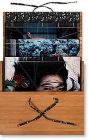Tapa de Nobuyoshi Araki: Bondage